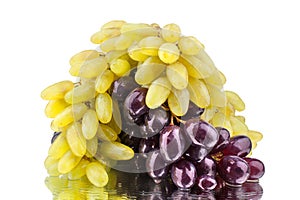 Two bunches of red and white grapes on a white mirror background with reflection and water drops isolated close up