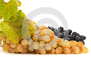 Two bunches of ripe, juicy green and dark grapes with leaves close-up, isolated on a white background