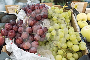 Two bunches of white and black grapes photo