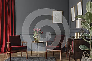 Two burgundy armchairs placed in grey living room interior with