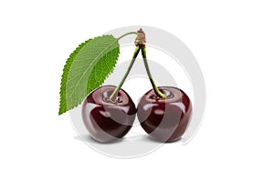 Two burgundy sweet cherries with green leaf isolated over white background. Juicy ripe berries with pleasant aroma. Summer harvest