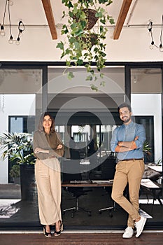 Two business partners standing in modern cozy office, vertical portrait.