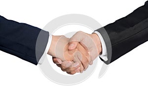 Two business people shaking hands