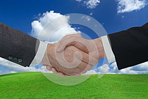 Two businessmen handshake - business concept