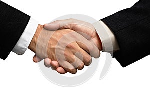 Two businessmen shaking hands