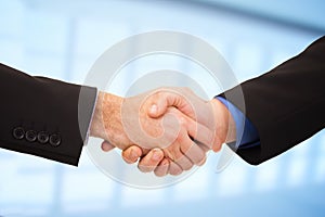 Two businessmen shaking hands