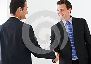 Two Businessmen Shaking Hands