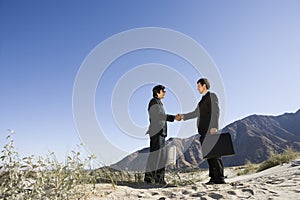 Two Businessmen Shaking Hands In Desert