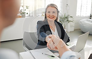 Two businesspeople shaking hands in a meeting together at work. Business professionals making a deal in an office