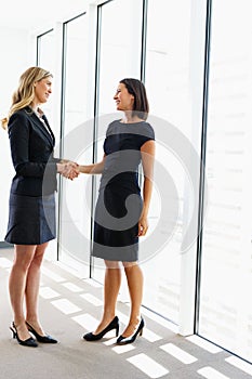 Two Businesswomen Shaking Hands