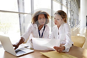 Two businesswomen working on a project using laptop