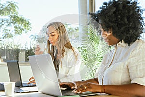 Two businesswomen working on their laptops in the office