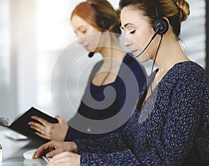 Two busineswomen have conversations with the clients by headsets, while sitting at the desk in a sunny modern office