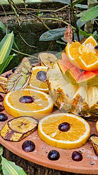 Two butterflies feeding on sliced fruit that includes oranges, grapes, pineapple, papaya and banana
