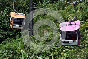 Two cable cars
