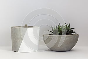 Two cactus in cement pots on an isolated white