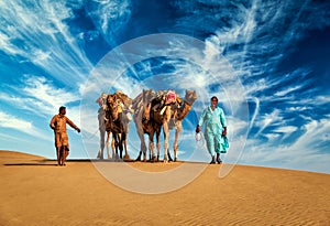 Two cameleers camel drivers with camels in dunes