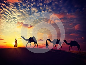 Two cameleers with camels in dunes of Thar deser