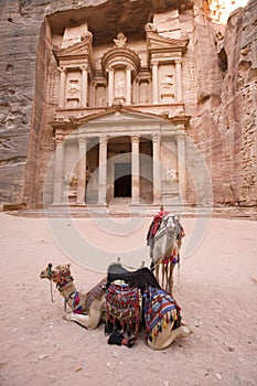 Two camels in front of Treasury at Petra Jordan