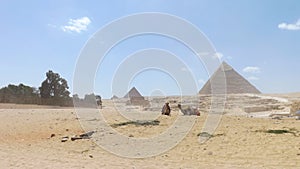 Two camels at the pyramids