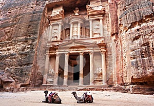 Two camels, saddles ready for tourists, sitting in front of Al-Khazneh Treasury temple - main attraction in Lost city of