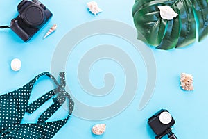 Two cameras, a manster leaf, seashells, and a swimsuit on a blue background.