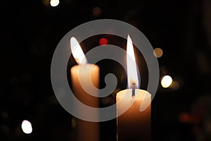 Two candles in front of a Christmas tree