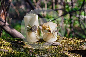 Two candles on an old log in the forest