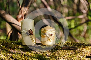 Two candles on an old log in the forest