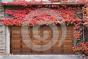 two-car garage of home surrounded by colorful red ivy leaves in fall