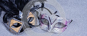 Two carnival masks with feathers on glitter