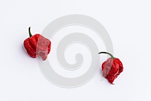 Two Carolina Reaper Hot Chilli Peppers on white