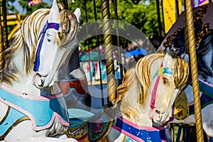 Two Carousel Horses On Merry Go Round