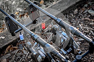 Two carp fishing rods on alarms