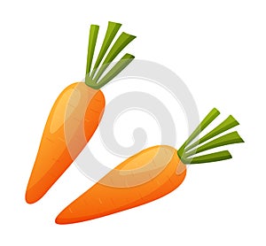 Two carrots isolated on white background