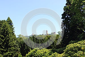 Two castles on a forest hill, weinheim