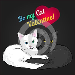 Two cats love colorful valentine card