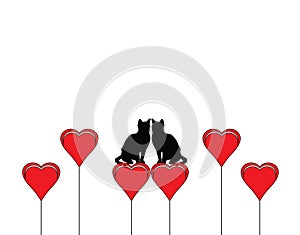 Two cats in love with heart