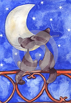 Two cats in love before the moon and stars