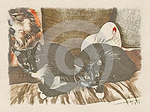 Two cats are sitting on the couch