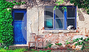 Two cats sitting infront of old poor house in lonely village