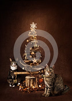 Two Cats under a Christmas Tree