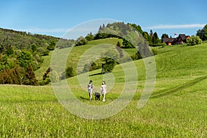 Two caucasian girls walking with black dog in green summer country