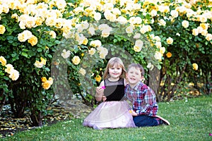 Two Caucasian kids sitting on a green grass in a rose garden and hugging, brother and sister, siblings,