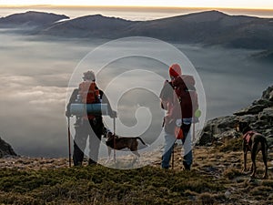 Two Caucasian males and a dog with hicking sticks standing on the top of a mountain  at the sunset