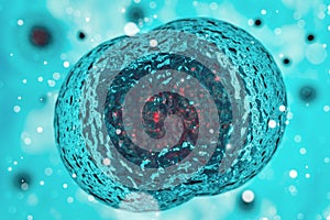 Two-cell embryo, Mitosis under microscope 3D illustration cells dividing, cell cloning