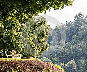 Two chairs looking out to the green trees 