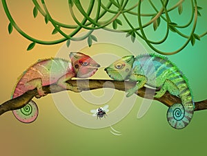 Two chameleons on the branch