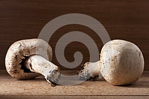 Two Champignon Mushrooms