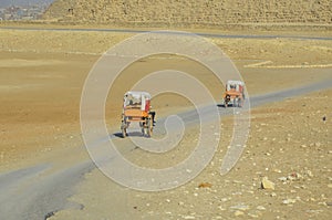 The two chariots with tourists traveling to the pyramids of Giza.